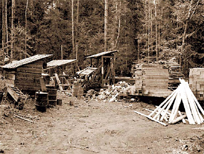 Portable Sawmill at Horne Lake Portable Sawmill at Horne Lake